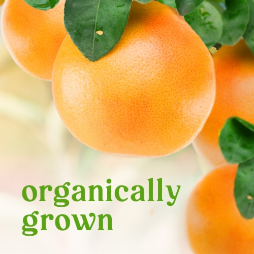 Fresh Large Organic Red Pink Grapefruit - Each Perspective: back