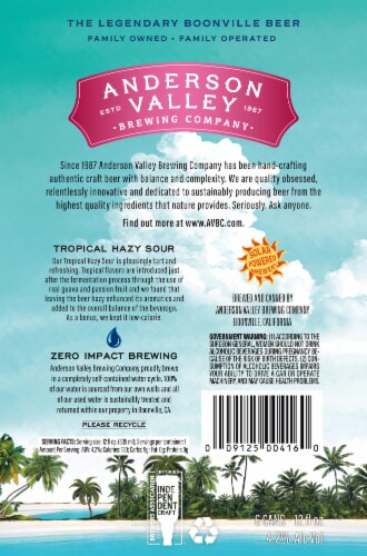 Anderson Valley Tropical Hazy Sour Craft Beer Perspective: back