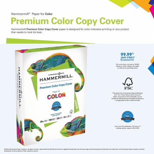 Hammermill® PAPER,COVER,18X12,WE 12004-0 Perspective: back