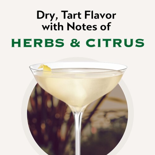 Martini & Rossi Extra Dry Italy Vermouth Perspective: back