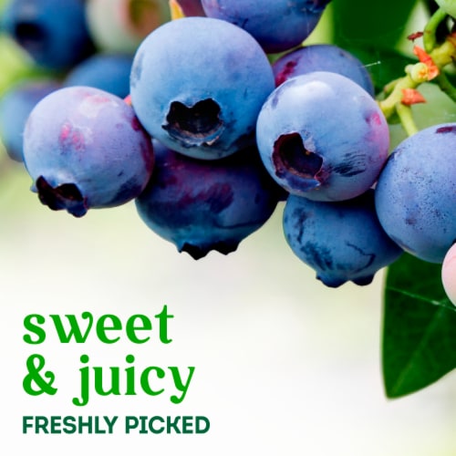 Simple Truth Organic® Blueberries Perspective: back