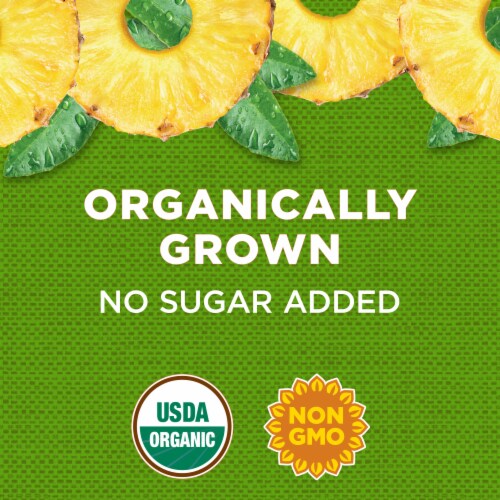 Simple Truth Organic® No Sugar Added Pineapple Slices in 100% Juice Perspective: back