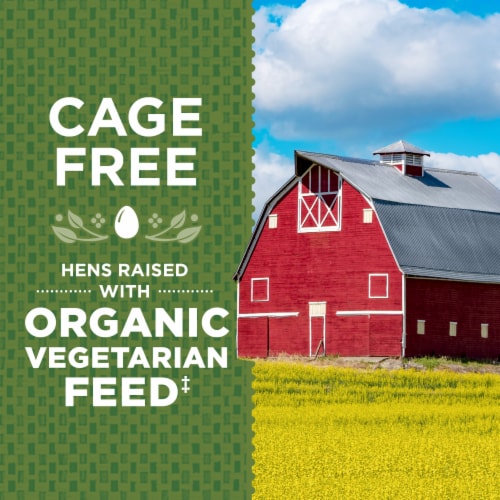 Simple Truth Organic™ Cage Free Large Brown Eggs Perspective: back
