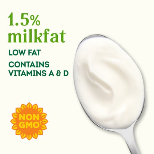 Simple Truth Organic™ Plain Lowfat Yogurt Tub Perspective: back