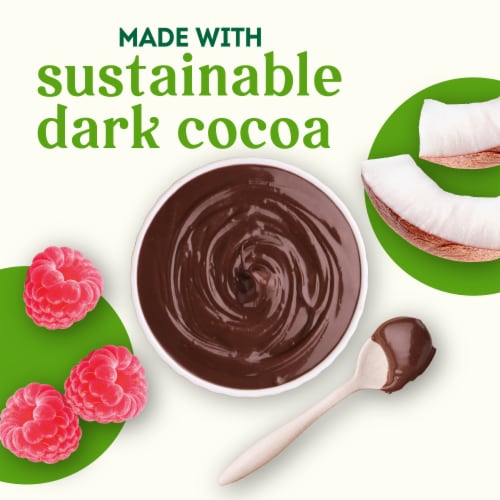 Simple Truth® Dairy Free Chocolate Raspberry Frozen Dessert Bars Perspective: back