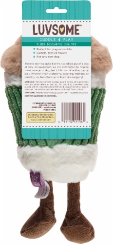 Luvsome Plush Carrot Dog Toy with Squeaker, 1 ct - Kroger