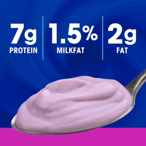 Kroger Blueberry Low Fat Yogurt Cup Perspective: back