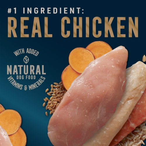 ABOUND® Pro Vet Formulated Skin & Coat Support Wet Dog Food Chicken Salmon & Sweet Potato Pate Perspective: back