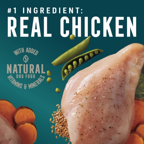 ABOUND® Chicken Peas & Sweet Potato in Gravy Wet Dog Food Perspective: back