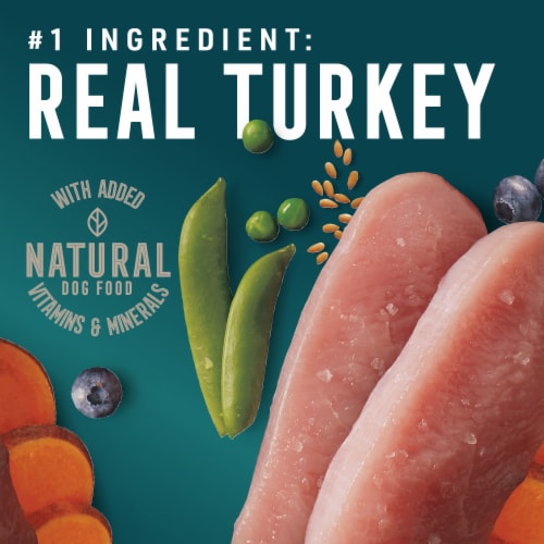 ABOUND® Wet Dog Food Turkey & Sweet Potato Dinner Paté Perspective: back