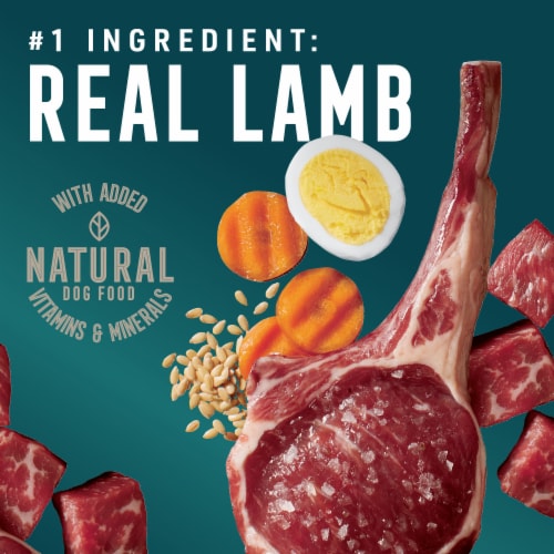 ABOUND® Wet Dog Food Lamb & Beef Dinner Perspective: back