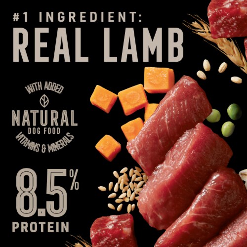 ABOUND® Wild Beginnings Lamb & Beef Dinner Pate Wet Dog Food Perspective: back