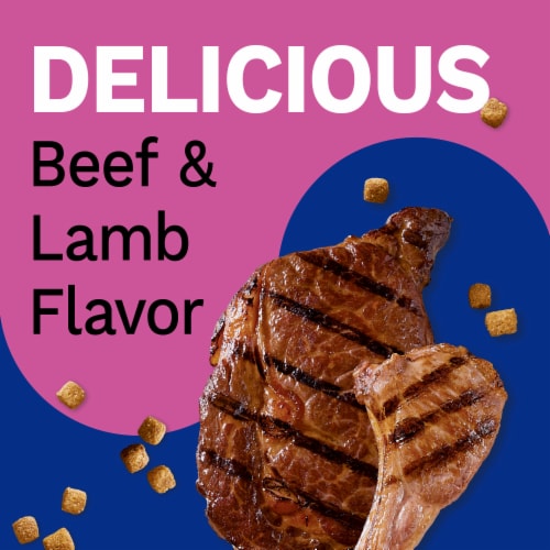 Pet Pride® High Protein Adult Dry Dog Food Beef & Lamb Flavor Perspective: back