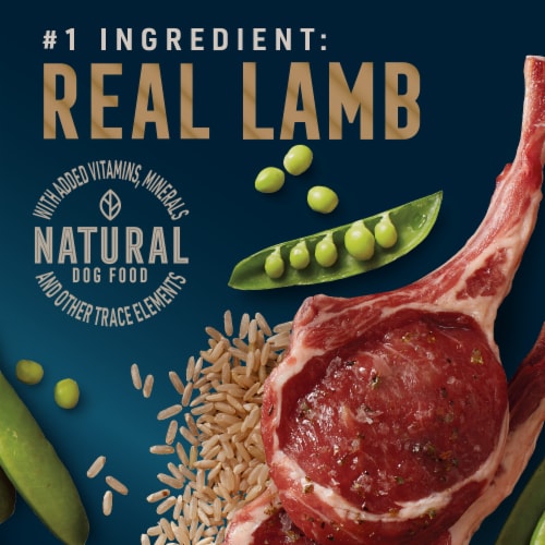 ABOUND® Pro Vet Formulated Sensitive Stomach Adult Dry Dog Food Lamb & Brown Rice Perspective: back