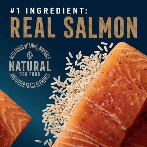 Aldi salmon dog food sale