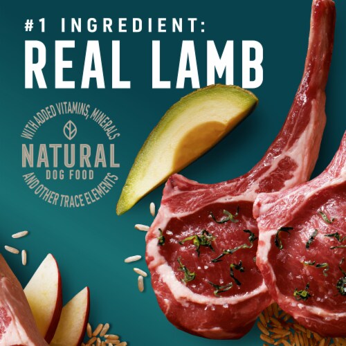 ABOUND® Adult Dry Dog Food Lamb & Brown Rice with Avocado Perspective: back
