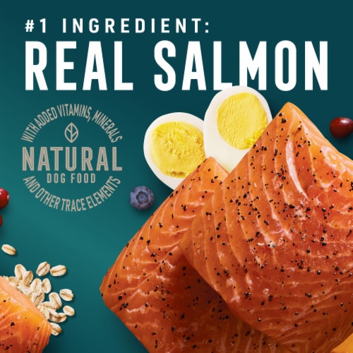 ABOUND® All Life Stages Dry Dog Food Superfood Blend Salmon Egg & Pumpkin Perspective: back