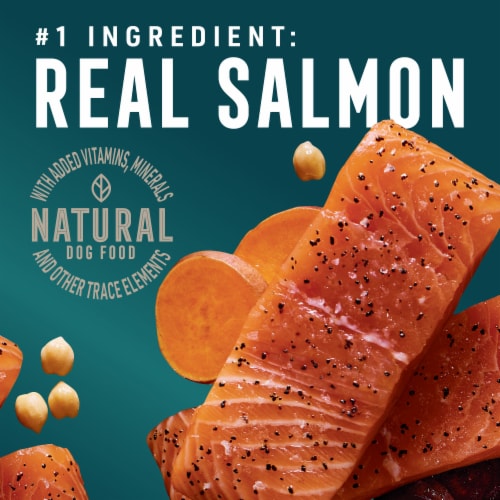 abound-grain-free-all-life-stages-dry-dog-food-salmon-sweet-potato