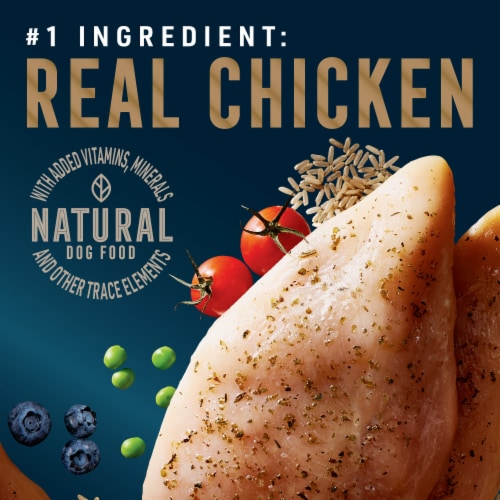 ABOUND® Pro Vet Formulated Adult Large Breed Dry Dog Food Chicken & Brown Rice Perspective: back