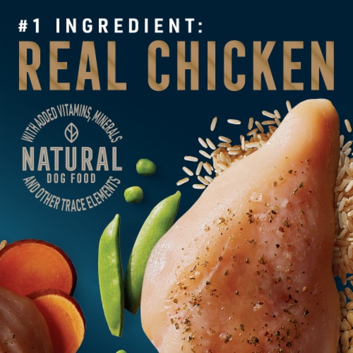 ABOUND® Pro Vet Formulated Puppy Dry Dog Food Chicken & Brown Rice Perspective: back