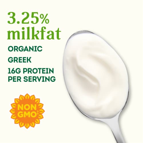 Simple Truth Organic® Plain Whole Milk Greek Yogurt Cultured Dairy Blend Tub Perspective: back