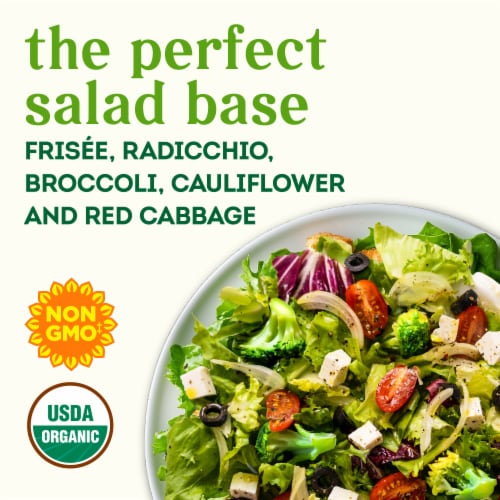 Simple Truth Organic® Mediterranean Style Medley Salad Starter Perspective: back