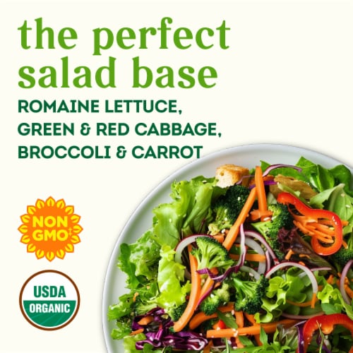 Simple Truth Organic® Very Veggie Medley Salad Starter Perspective: back