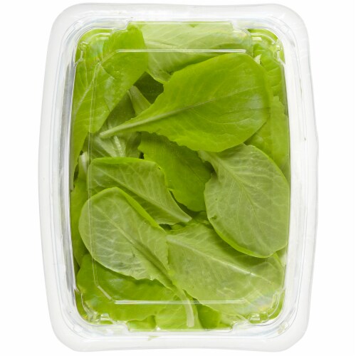 Kroger® Greenhouse Grown Butter Lettuce Perspective: back