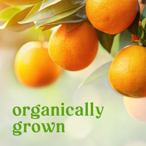 Simple Truth Organic® Fresh Seedless Mandarin Oranges Bag Perspective: back
