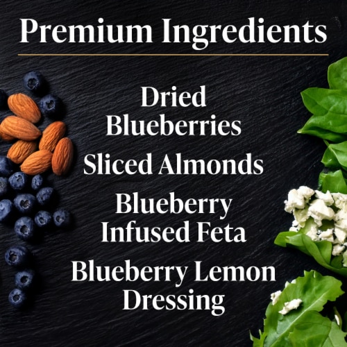 Private Selection® Blueberry Feta Chopped Salad Kit Perspective: back