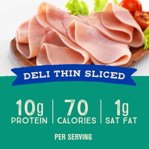 Kroger® Turkey Pastrami Uncured Deli Thin Sliced Perspective: back