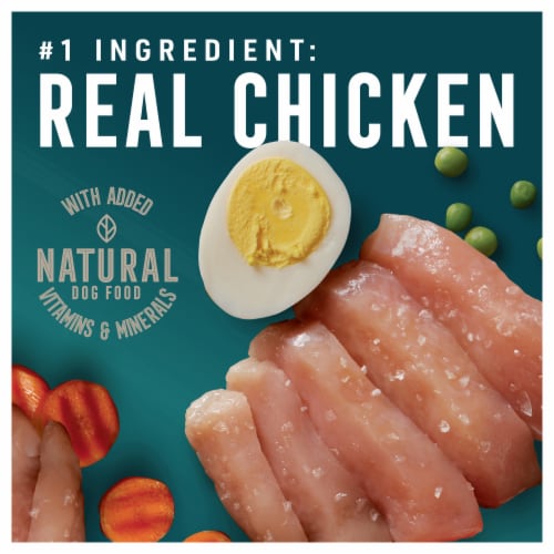 ABOUND® Grain Free Wet Dog Food Chicken and Vegetables in Gravy Perspective: back