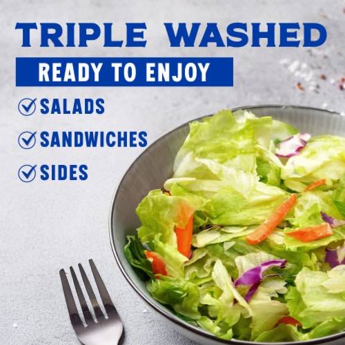 Kroger® Classic Garden Salad Bag Perspective: back