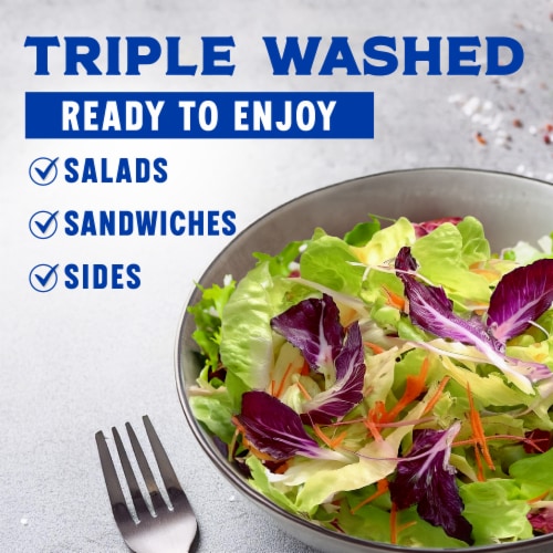 Kroger® Italian Style Blend Salad Bag Perspective: back