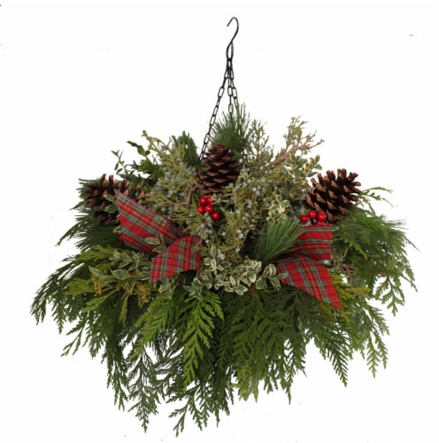 Bloom Haus Outdoor Holiday Hanging Basket Perspective: back