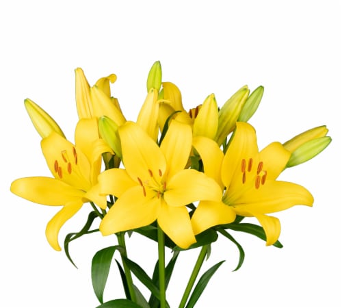 Bloom Haus Oriental Lily Bunch Perspective: back