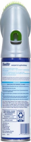 Woolite® Carpet & Upholstery Cleaner with Fabric Safe Brush Perspective: back