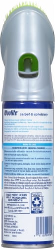 Woolite® Carpet & Upholstery Cleaner with Fabric Safe Brush, 12 fl oz -  Kroger