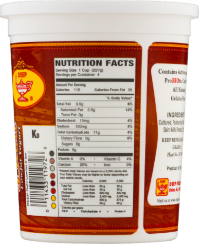 Deep Foods Dahi Lowfat Yogurt Perspective: back