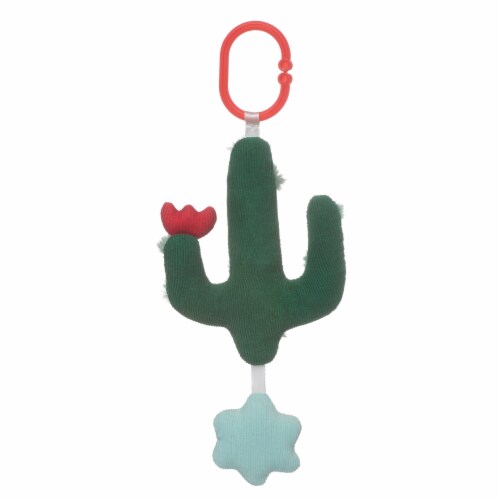 manhattan toy cactus garden