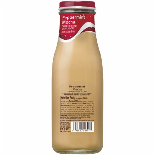 Starbucks Frappuccino Peppermint Mocha Iced Coffee Drink Perspective: back