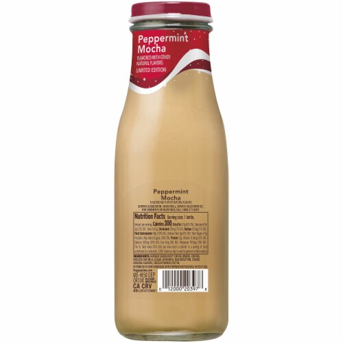 Starbucks Frappuccino Peppermint Mocha Iced Coffee Drink Perspective: back