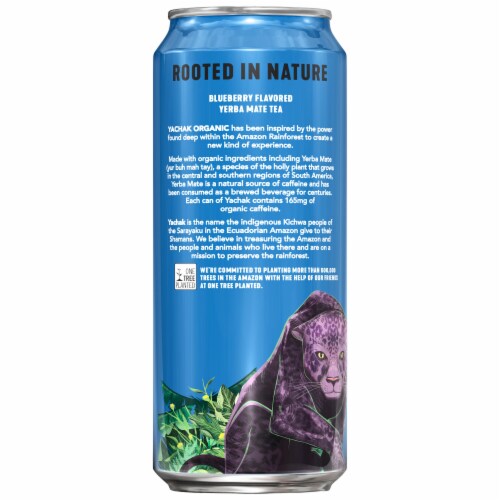 Yachak Berry Blue Yerba Mate Plant-Based Energy Drink Perspective: back