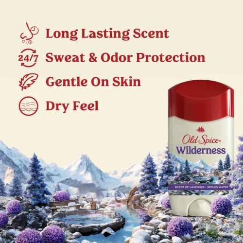 Old Spice for Men Antiperspirant Deodorant Invisible Solid Wilderness with Lavender Scent Perspective: back