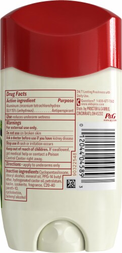 Old Spice® Canyon Anti-Perspirant Deodorant Stick Perspective: back