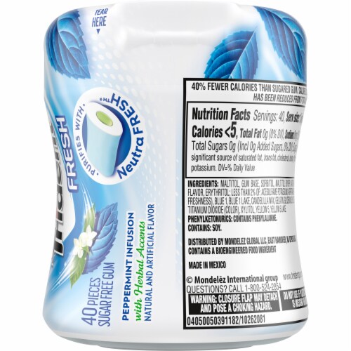Trident Sugar Free Peppermint Infusion Gum Perspective: back
