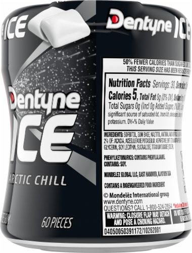 Dentyne Ice Sugar Free Arctic Chill Gum Perspective: back