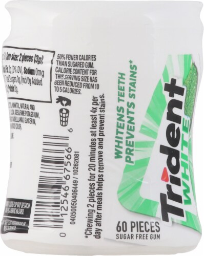 Trident White Sugar-Free Spearmint Gum Perspective: back