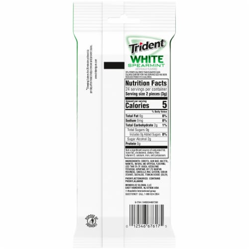 Trident White Spearmint Gum Perspective: back