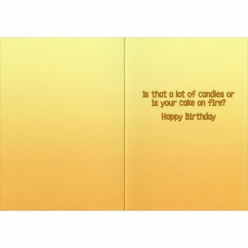 Avanti Surprised Weimeraner Funny / Humorous Birthday Card Perspective: back